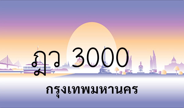 ฎว 3000